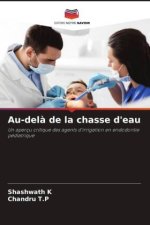 Au-delà de la chasse d'eau