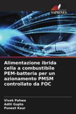 Alimentazione ibrida cella a combustibile PEM-batteria per un azionamento PMSM controllato da FOC