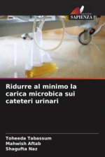 Ridurre al minimo la carica microbica sui cateteri urinari