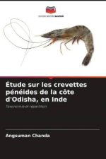 Étude sur les crevettes pénéides de la côte d'Odisha, en Inde