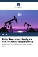 Rate Transient Analysis via Artificial Intelligence