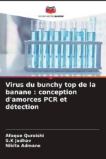 Virus du bunchy top de la banane : conception d'amorces PCR et détection