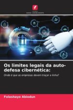 Os limites legais da auto-defesa cibernética: