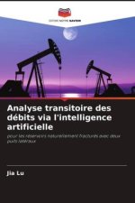 Analyse transitoire des débits via l'intelligence artificielle
