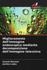 Miglioramento dell'immagine endoscopica mediante decomposizione dell'immagine televisiva