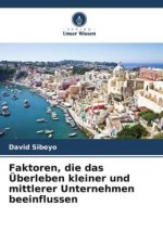 Faktoren, die das Überleben kleiner und mittlerer Unternehmen beeinflussen