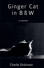 Ginger Cat in B & W