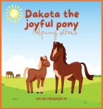 Dakota the joyful pony