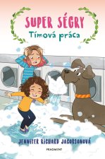 Super ségry 5 - Tímová práca
