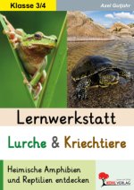 Lernwerkstatt Lurche und Kriechtiere