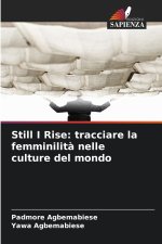 Still I Rise: tracciare la femminilità nelle culture del mondo