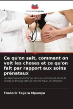 Ce qu'on sait, comment on voit les choses et ce qu'on fait par rapport aux soins prénataux