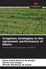 Irrigation strategies in the agronomic performance of beans