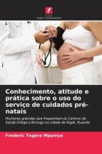 Conhecimento, atitude e prática sobre o uso do serviço de cuidados pré-natais