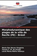 Morphodynamique des plages de la ville de Recife (PE) - Brésil