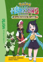 Pokémon Les Horizons, Tome 15