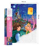 Poster Disney Raiponce