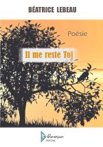 IL ME RESTE TOI
