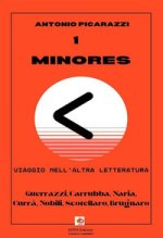 Minores. Viaggio nell'altra letteratura
