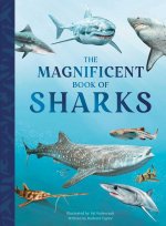 MAGNIFICENT BK OF SHARKS