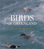 Birds of Greenland – An Annotated and Updated Checklist