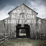 Willie Nelson:  Country Music