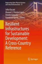 Resilient Infrastructures for Sustainable Development: A Cross-Country Reference