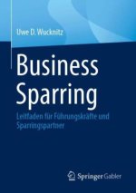 Business Sparring