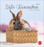 Süße Kaninchen Postkartenkalender 2027