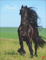 Pferde Classics Posterkalender 2027
