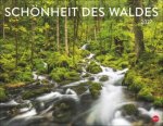 Schönheit des Waldes Posterkalender 2027
