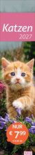 times&more Katzen Langplaner 2027