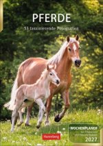 Pferde Wochenplaner 2027 - 53 faszinierende Fotografien