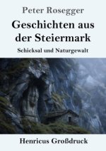 Geschichten aus der Steiermark (Großdruck)