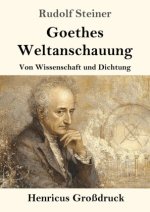Goethes Weltanschauung (Großdruck)