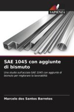 SAE 1045 con aggiunte di bismuto