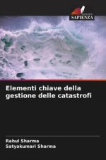 Elementi chiave della gestione delle catastrofi