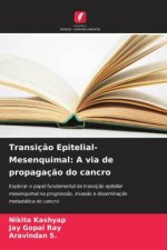 Transição Epitelial-Mesenquimal: A via de propagação do cancro
