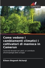 Come vedono i cambiamenti climatici i coltivatori di manioca in Camerun