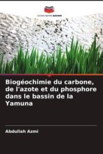 Biogéochimie du carbone, de l'azote et du phosphore dans le bassin de la Yamuna