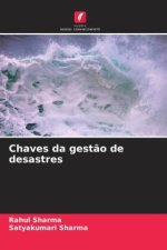 Chaves da gestão de desastres