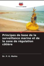 Principes de base de la surveillance marine et de la zone de régulation côtière