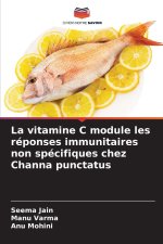 La vitamine C module les réponses immunitaires non spécifiques chez Channa punctatus