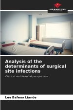 Analysis of the determinants of surgical site infections