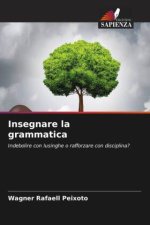 Insegnare la grammatica