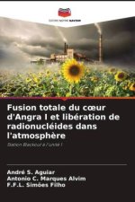 Fusion totale du coeur d'Angra I et libération de radionucléides dans l'atmosphère
