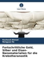 Fortschrittliche Gold, Silber und Eisen-Nanomaterialien für die Krebstheranostik