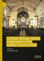 Cardinals, Bishops, and the Indigenization of the Catholic Church in China