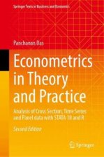 Econometrics in Theory and Practice