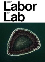 Sarah Ancelle SchOnfeld Labor Lab /anglais